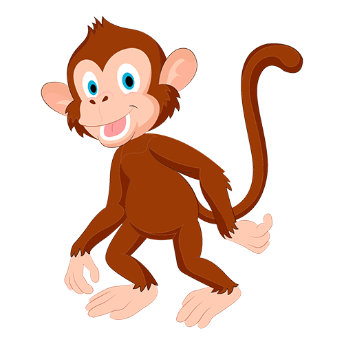 Monkey