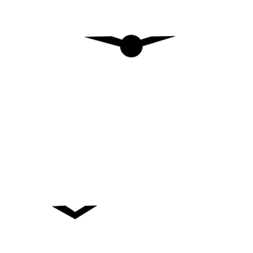 Pilot