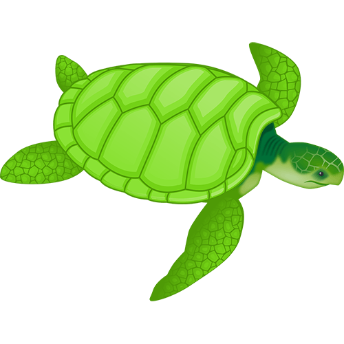 Turtle