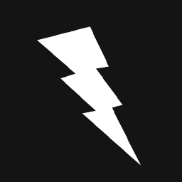 The flash